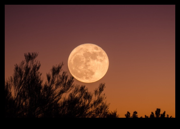 Luminescența lunară Frumusețea radiantă a celui mai apropiat vecin celest al nostru 2 Luminescență lunară: frumusețe radiantă printre minunile planetare