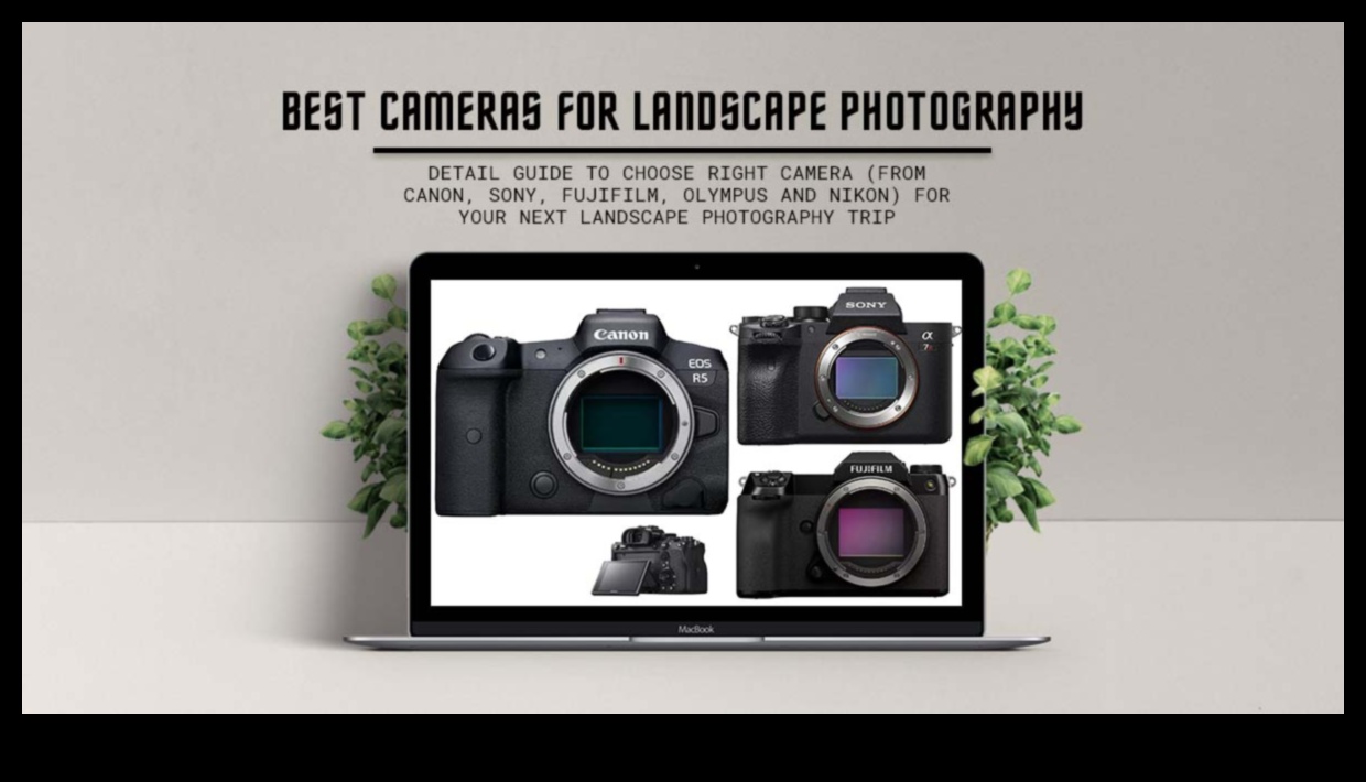 Shutter Savvy Ghidul dvs. pentru cele mai recente și mai bune suplimente pentru cameră 3 Cunoștință în obturator: Descoperiți cele mai recente și cele mai grozave suplimente pentru cameră