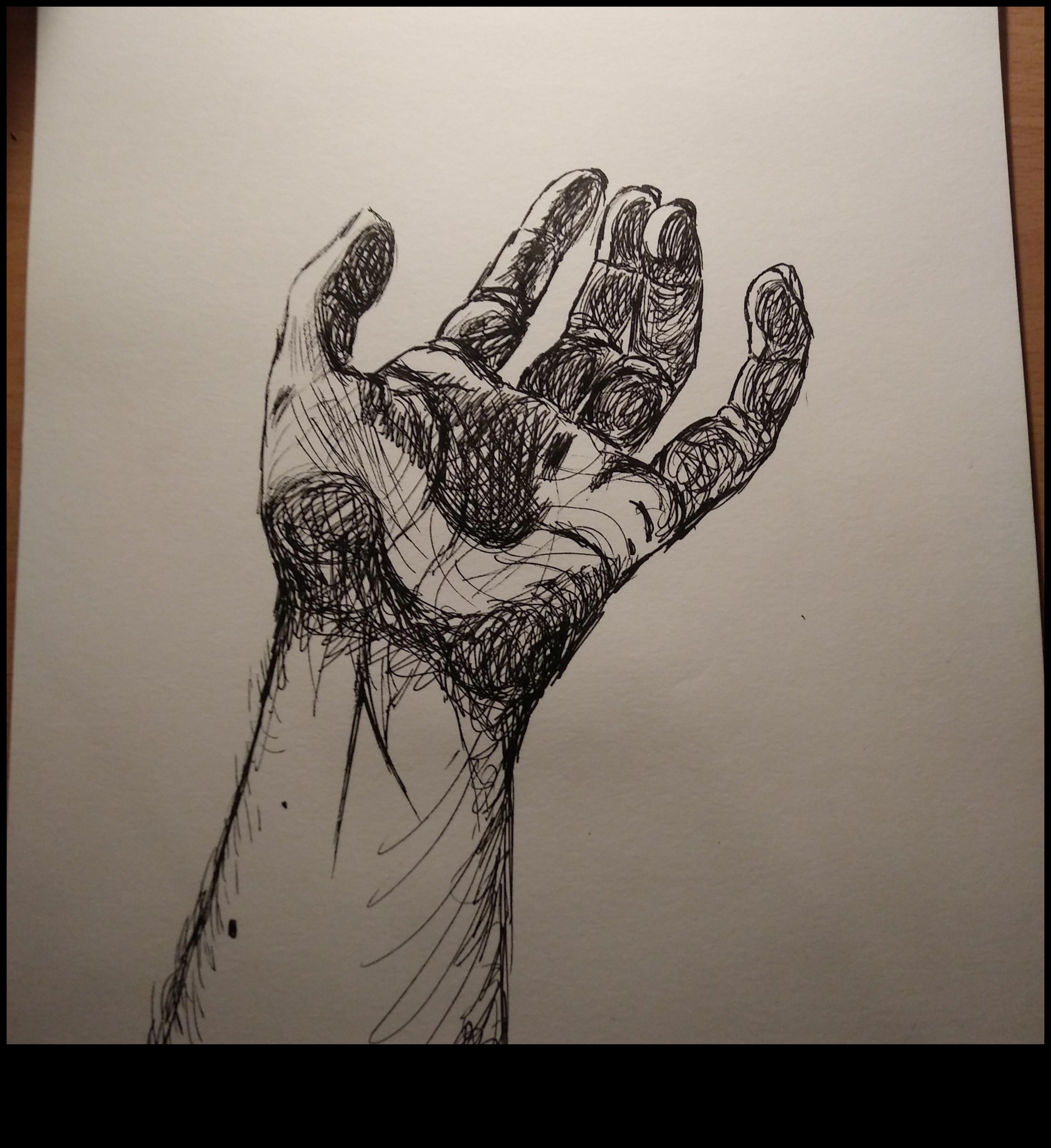 Dansul complicat al liniilor: desene expresive cu stilou și cerneală