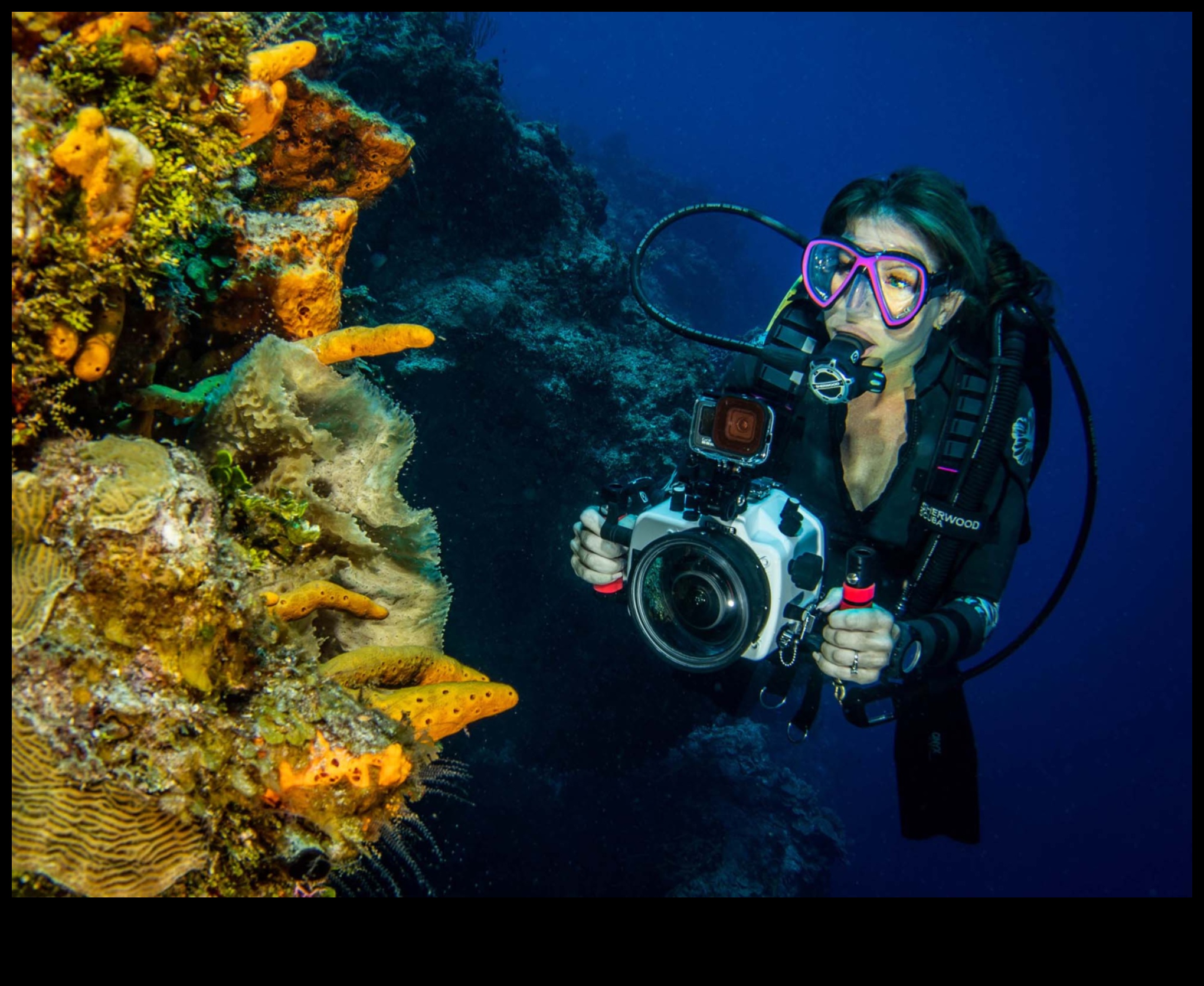 Minuni subacvatice: scufundați-vă în tehnici avansate de fotografie acvatică