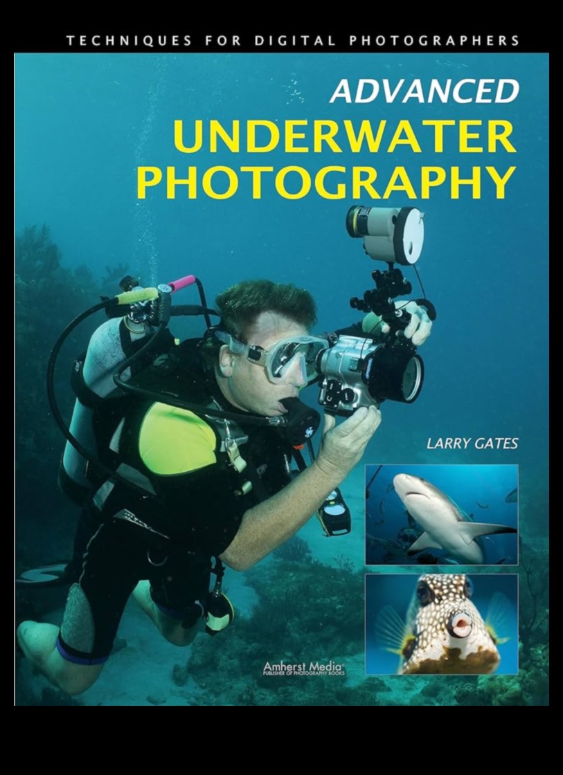 Minuni subacvatice: scufundați-vă în tehnici avansate de fotografie acvatică