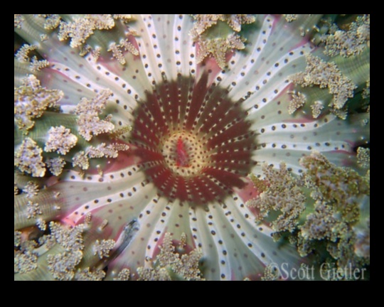 Tutoriale de compoziție aprofundate cadru cu cadru Dezvăluiți secretele creării de compoziții uimitoare cu noua noastră serie de tutoriale. 5 Cadru cu cadru: Tutoriale de compoziție aprofundate dezvăluite