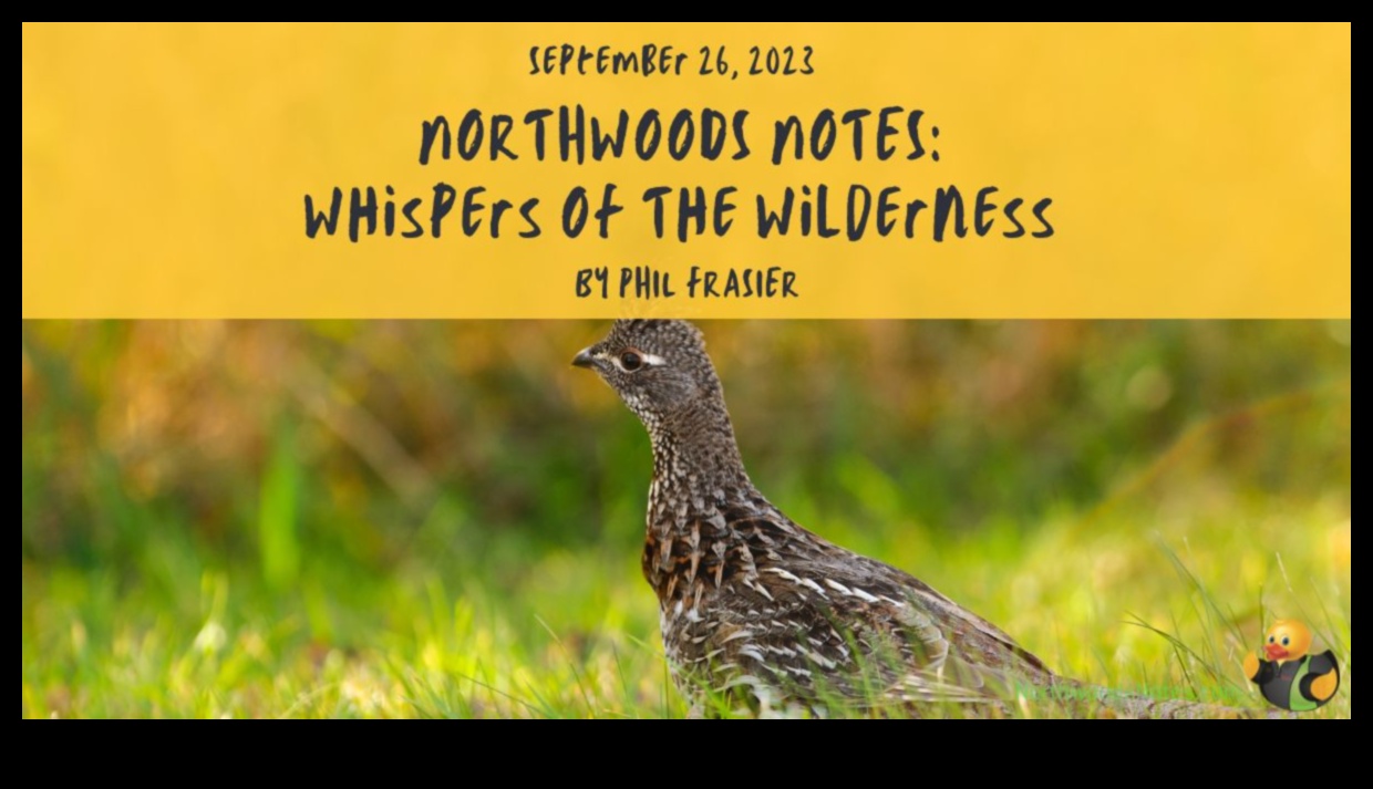 Șoapte din sălbăticie Poveștile naturii în fotografie 5 Șoaptele sălbăticiei: Poveștile naturii în fotografie