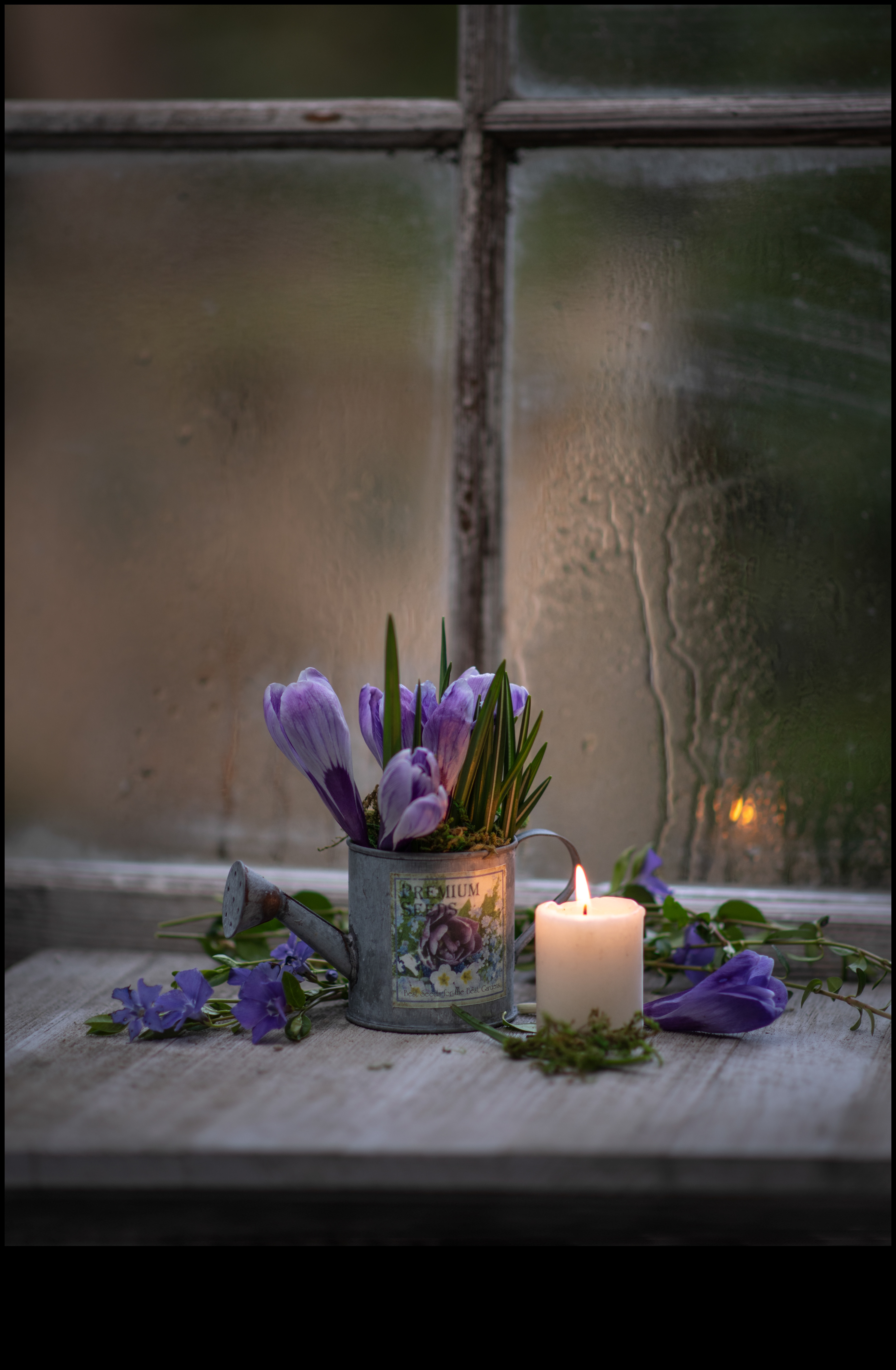 Conversații liniștite: Povestirea poveștilor prin natura moartă