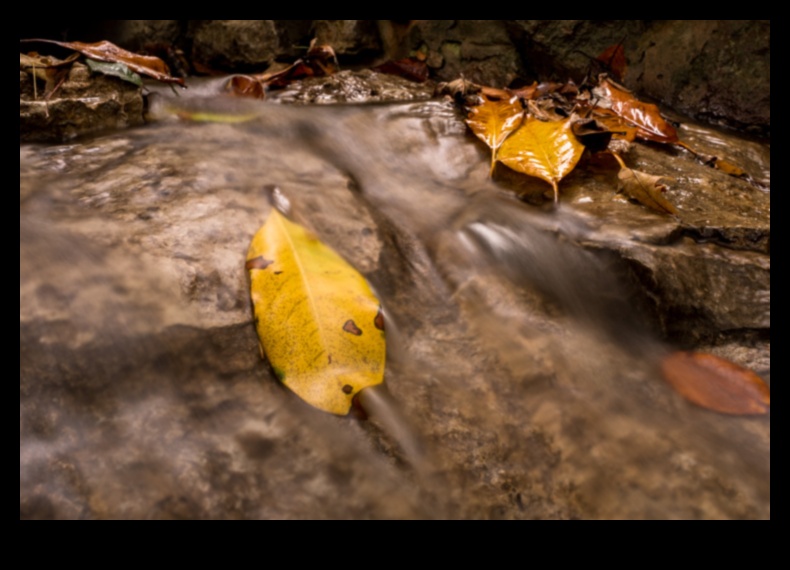 Silky Smooth Water: Stăpânirea tehnicilor pentru captarea fluxurilor curgătoare