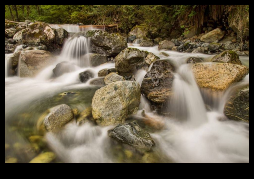 Silky Smooth Water: Stăpânirea tehnicilor pentru captarea fluxurilor curgătoare