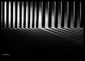 Abstract Allegiance: Găsirea artistică în stiluri de fotografie neconvenționale