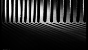 Abstract Allegiance: Găsirea artistică în stiluri de fotografie neconvenționale