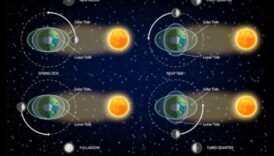 Marea Cosmice: Influența gravitațională asupra oceanelor cerești
