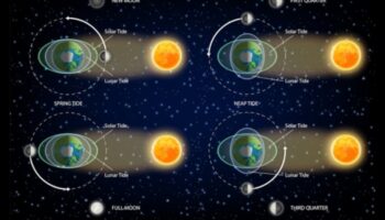 Marea Cosmice: Influența gravitațională asupra oceanelor cerești
