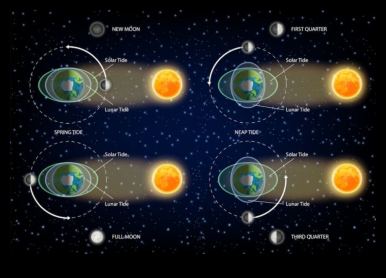 Mareee cosmice Atractia gravitațională a stelelor și planetelor de pe oceanele cerești 1 Marea Cosmice: Influența gravitațională asupra oceanelor cerești