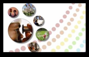 Cronici culturale: Sărbătorirea diversității prin stiluri de fotografie documentară