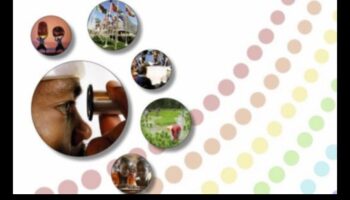 Cronici culturale: Sărbătorirea diversității prin stiluri de fotografie documentară