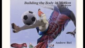 Descoperirea dinamicii: un ghid al călătorilor pentru mișcare