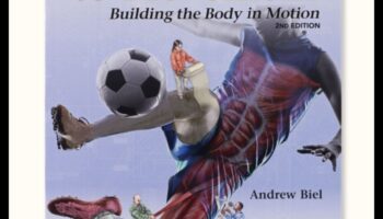 Descoperirea dinamicii: un ghid al călătorilor pentru mișcare