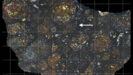 Fragmente galactice: Explorând lumea diversă a meteoroizilor