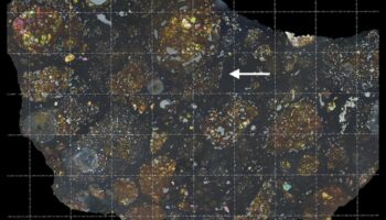 Fragmente galactice: Explorând lumea diversă a meteoroizilor