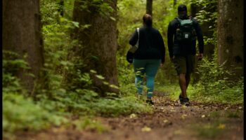 Hiker's Haven: creează-ți calea către fericirea în aer liber