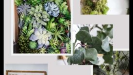 Crafting with Plants: DIY Projects for Botanical Creations