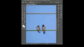 Pixel Perfection: stăpânirea Photoshop Essentials