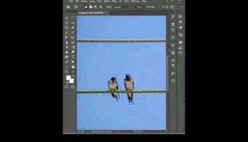 Pixel Perfection: stăpânirea Photoshop Essentials