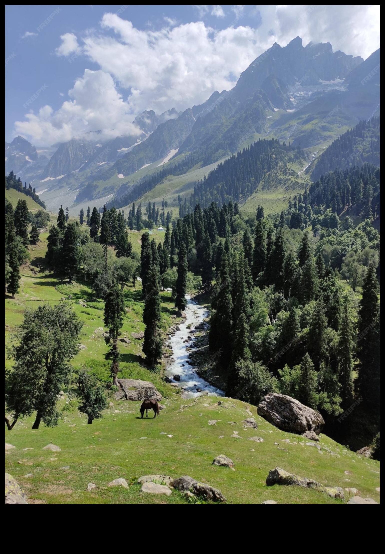 Șoapte din sălbăticie Poveștile naturii în fotografie 1 Șoaptele sălbăticiei: Poveștile naturii în fotografie